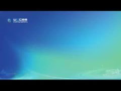 Intervista alla Conferenza Mondiale sull'Energia Pulita del 2025